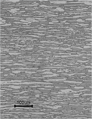Image: 光学显微镜组织(16mmt热轧板)